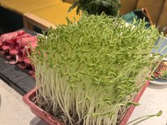 -五星桥原切肥牛火锅(怀德桥店)