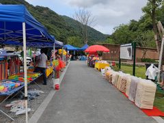 -北仑森林植物园