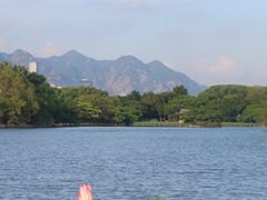 -江心屿景区