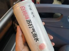-童婆婆酥肉(双楠店)