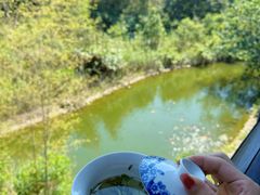 -大唐贡茶院
