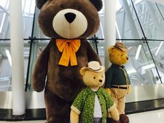 -济州岛泰迪熊博物馆