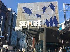 -The Meat & Wine Co Southbank(南岸店)