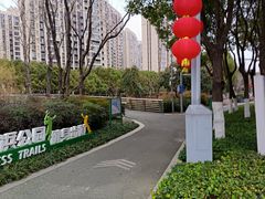 -皇粮浜湿地公园