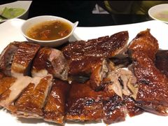 -高第街56号餐厅(凯德mall新都心店)
