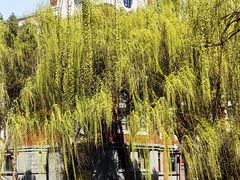 -华东政法大学(松江校区)