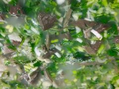 -庄河步云山羊汤(椒房店)