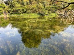 -靖西鹅泉风景区
