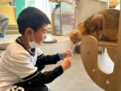 -飞行喵MR PILOT|猫舍·猫咖(静安大融城店)