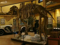 -信不信由你博物馆