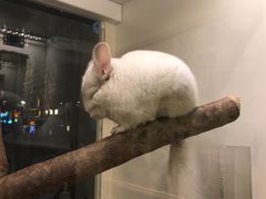 -龙猫仔乐园(惠福东路店)