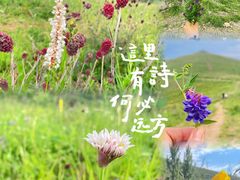 -太舞滑雪小镇