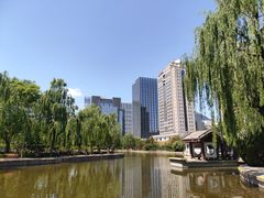 -团结湖公园