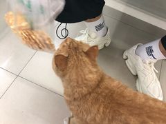 -脆皮五花肉(建东街旗舰店)