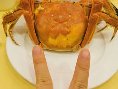 -王宝和酒家(黄浦店)