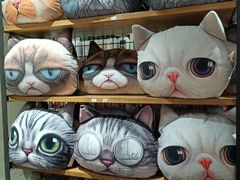 -猫咪博物馆(顶澳仔猫街店)