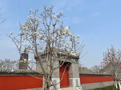 -西海子公园