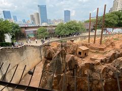 -昆明动物园