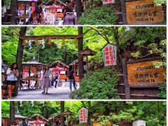 -野宫神社