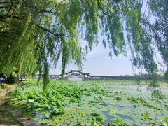 -锦溪古镇