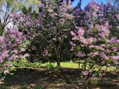 -东升八家郊野公园