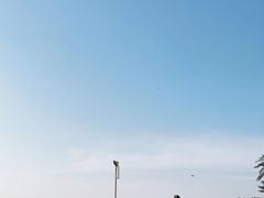 -淇河金沙滩