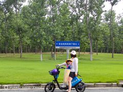 -大学城夜市大排档(凤栖路店)