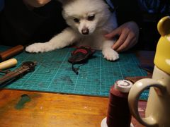 -零几体验diy皮具工作室(振业城店)