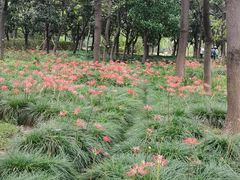 -白塘生态植物园