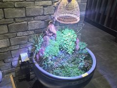 -鸢飞潍坊菜馆(鸢飞大酒店)