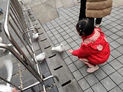 -磁器口古镇