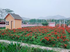 -盈香心动乐园