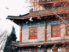 -西安大兴善寺