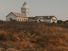 -涉地可支