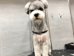 -宠福鑫康馨动物医院·骨科·眼科