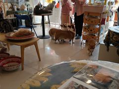 -平行世界·猫咖(首经贸店)
