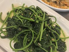 炒番薯叶-鹅香四海·卤水火锅·砂锅粥·潮汕菜(宝安店)