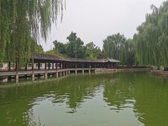 -团结湖公园