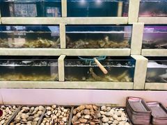 水产区-王潮活海鲜自助·蒸汽海鲜