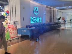 -盒马鲜生(帝斯曼店)