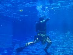 -海合安成都极地海洋公园