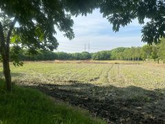 -广富林郊野公园