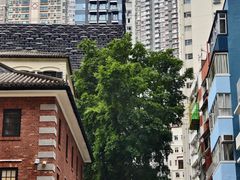 -中环半山扶手电梯