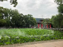 -四川大学(望江校区)