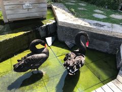 -南京圣和府邸豪华精选酒店