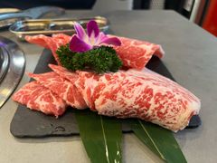 -谷町·烤肉自助(朱雀门店)