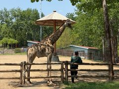 -大连森林动物园