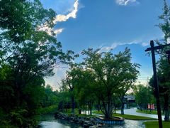 -黄陂区野村谷景区