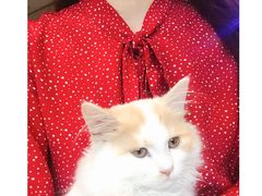 -平行世界·猫咖(首经贸店)