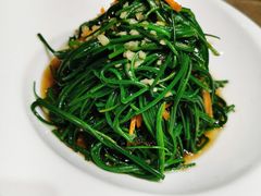 天山野生沙葱-新疆巴州金丝特餐厅(大钟寺店)